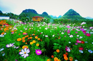 普定思源農業生態園 農耕精品養身勝地