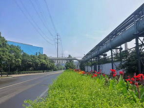 九龍潭生態園 獨特生態旅游體驗震撼市民心靈