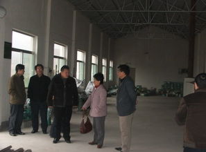 良奇茗茶 岳西翠蘭與九龍潭生態園的綠色傳奇