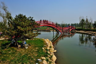 新建中的保定生態(tài)園 九龍?zhí)渡鷳B(tài)園——未來城市綠心的展望